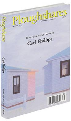 A journal cover of the corners of two cottages next to each other