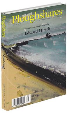 A journal cover of a sandy beach and the ocean