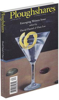 A journal cover with artwork of a martini with a lemon rind and stones atop a table